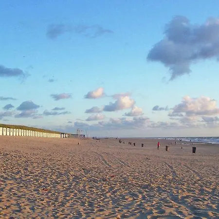 Holiday T Blauwe Huus